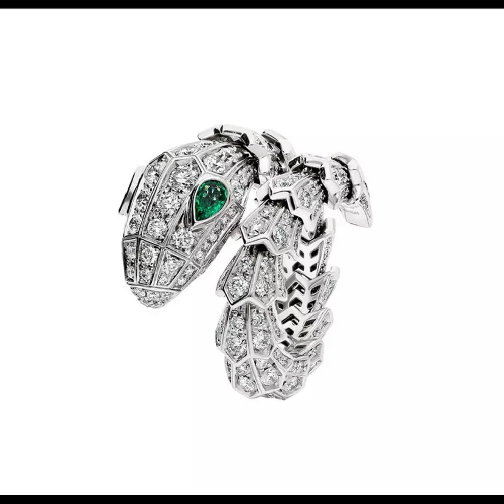 super expensive looking ring